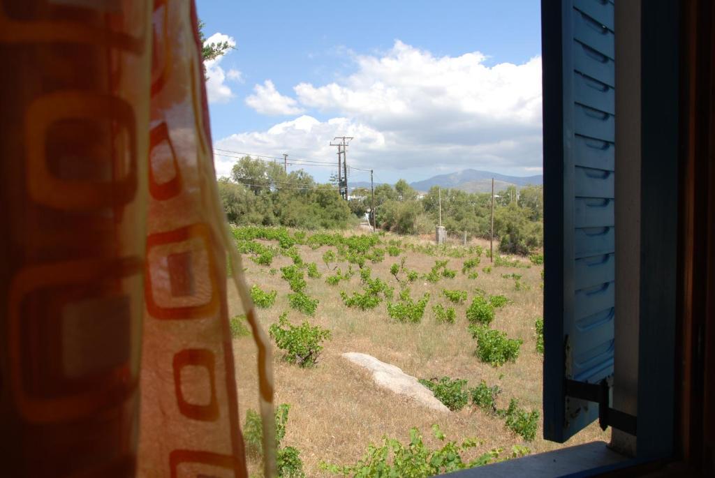 Koulas Pension - Red Lake Aparthotel Άγιος Προκόπιος Δωμάτιο φωτογραφία